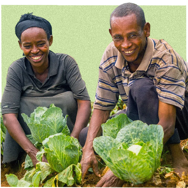 fruit and veg for the future